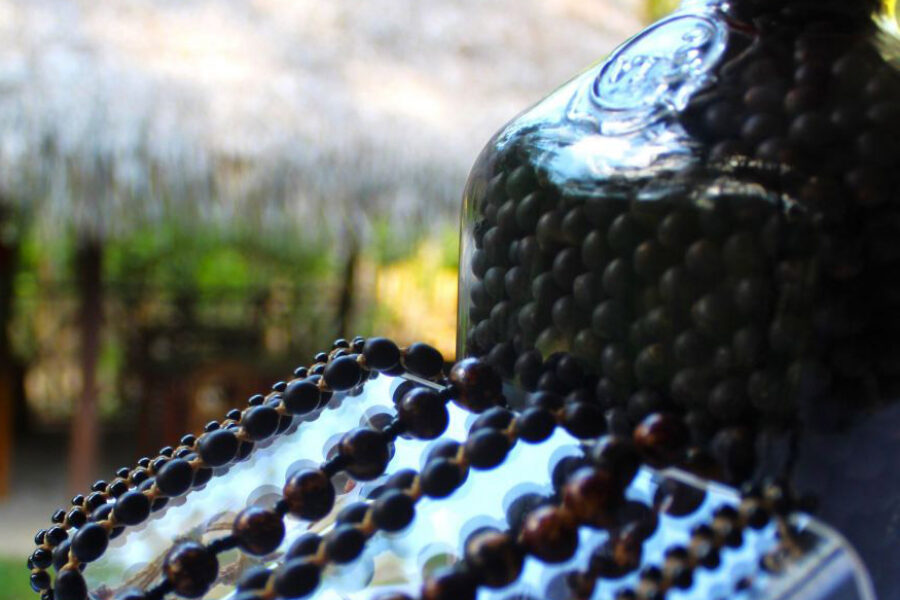 Shop. Museum Ayahuasca.