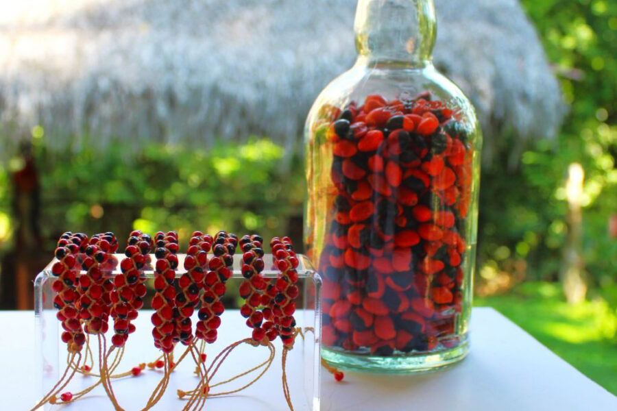 Shop. Museum Ayahuasca.